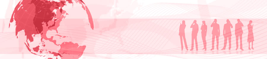 ������ЃE�B�X�e���A�W���p��